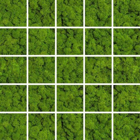 CERAMIKA KOŃSKIE MOZAIKA GREEN MOSS 24,8x24,8 G.1 CK