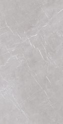 S EPICENTR MARMOLINO SILVER MATT 60X120 G.1