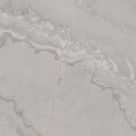 L NOBLE ARAGONITE GREY LAPPATO 60X60 G.1 SPRAWDŹ FAKTYCZNĄ CENĘ I DOSTĘPNOŚĆ