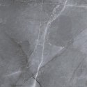L SCALE SILVER LAPPATO 60X60 G.1 SPRAWDŹ FAKTYCZNĄ CENĘ I DOSTĘPNOŚĆ