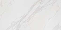 Coriento White Poler GRS.376A.P 120x60 - Ścienno - podłogowa - Poler