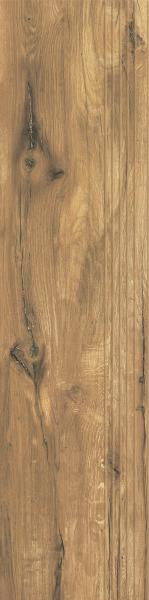 RUSTLAND BROWN STOPNICA NACINANA MAT. 29,8X119,8 G1