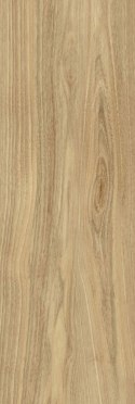 CB DREAMWOOD GLOSSY RETT. 25x75 G.1