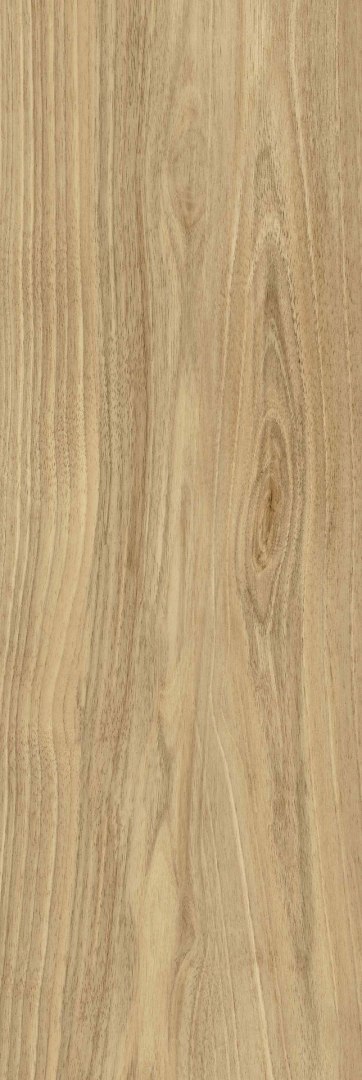 CB DREAMWOOD GLOSSY RETT. 25x75 G.1 CB DREAMWOOD GLOSSY RETT. 25x75 G.1