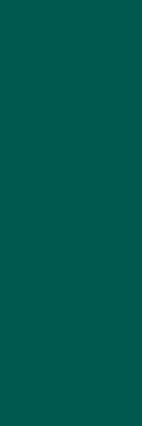 CB EMERALD FOREST RETT. 25x75 G.1