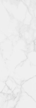 CB ROYAL GREY RETT. 25X75 G.1