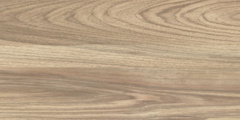 CC EMO WOOD BROWN RETT. 30x60 G.1 CC EMO WOOD BROWN RETT. 30x60 G.1