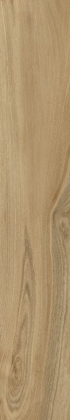 SG DREAMWOOD REKT. 20X120 G.1 SG DREAMWOOD REKT. 20X120 G.1