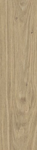 SG DUBLIN BEIGE GRES MAT. 15,5X62 G.1