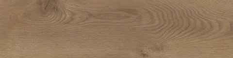 SG TAIGA BROWN GRES SZKL. REKT. 30X120 G.1 SG TAIGA BROWN GRES SZKL. REKT. 30X120 G.1