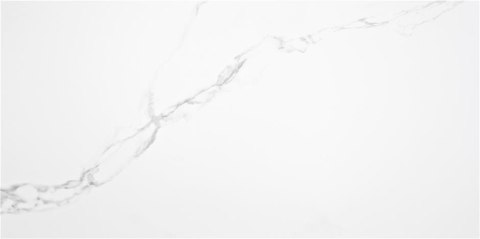 ALAPLANA PUNE BLANCO MATE 60x120 G1 AL ALAPLANA PUNE BLANCO MATE 60x120 G1 AL