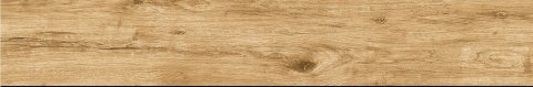 ATEM Pp CARVALHO GOLD 19,5x120 g.1 ATEM ATEM Pp CARVALHO GOLD 19,5x120 g.1 ATEM
