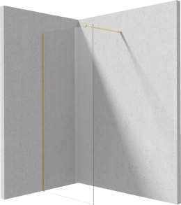Deante Ścianka prysznicowa walk-in 70 cm
