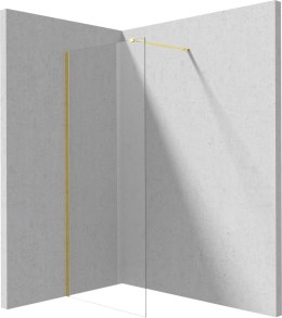 Deante Ścianka prysznicowa walk-in 70 cm