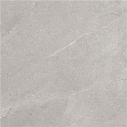 EMIGRES TERRA GRIS 60X60 LAPPATO G.1 EG