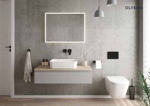 Hadsel Oltens Hadsel miska WC wisząca PureRim biała 42039000 Hadsel Oltens Hadsel miska WC wisząca PureRim biała 42039000