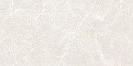 MAXIBOX OLIVIA SILVER 60X120 POLISHED G1.MIB