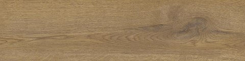 SG PINEA HONEY GRES MAT. 15,5X62 G.1