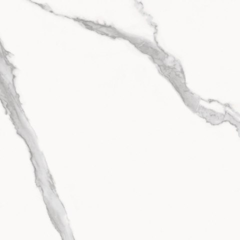 SG STATUARIO GRES REKT. MAT. 60X60 G.1 SG STATUARIO GRES REKT. MAT. 60X60 G.1