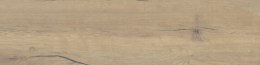 SG TAMPERE/ORIS BEIGE REKT. MAT. 30X120 G.1