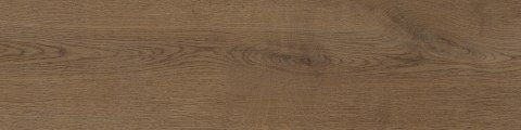 STARGRES Pp PINEA BROWN 15,5x62 g.1 SG PROMOCJA