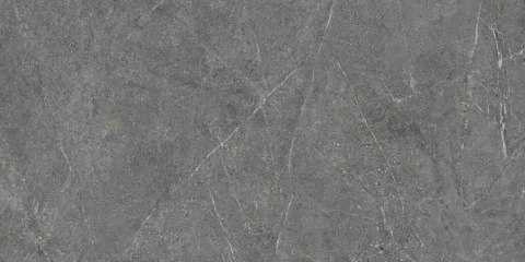 CERRAD Pp DISTINCT GREY SILKY CRISTAL 1197x597x8 G.1 CD CERRAD Pp DISTINCT GREY SILKY CRISTAL 1197x597x8 G.1 CD