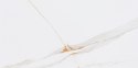 CH CORIENTO GOLD GL.325B.PS.WL 60X30 G.1