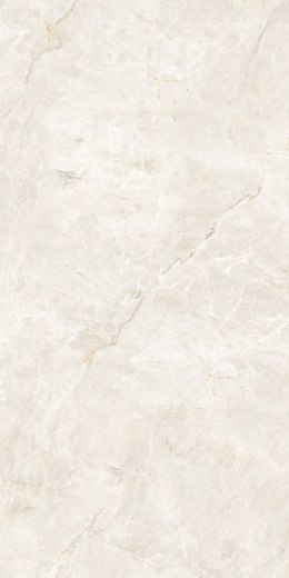 IMP 1 Pp FORESTER IVORY 60X120 MATT+CARVING G1.IMP1