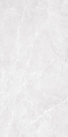 L LOZANA GREY POLISHED 60X120 G.1 - SPRAWDŹ AKTUALNĄ CENĘ I DOSTĘPNOŚĆ.