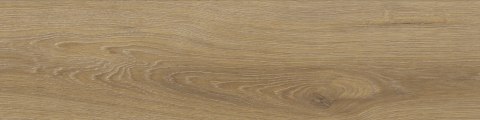 SG CANADIAN BEIGE MAT. 15,5X62 G.1