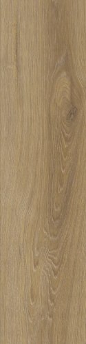 SG CANADIAN BEIGE MAT. 15,5X62 G.1