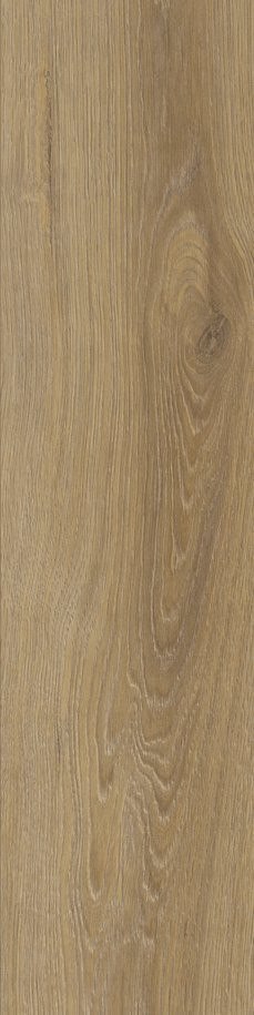 SG CANADIAN BEIGE MAT. 15,5X62 G.1