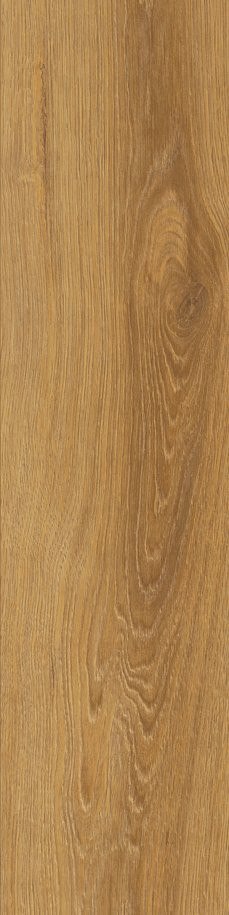 SG CANADIAN HONEY MAT. 15,5X62 G.1