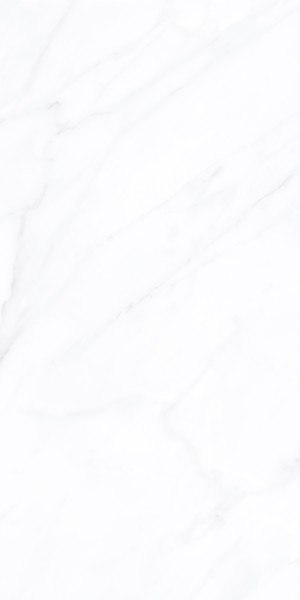SG CARRARA SKY GRES REKT. MAT. 60X120 G.1 SG CARRARA SKY GRES REKT. MAT. 60X120 G.1