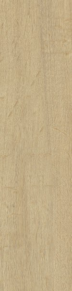 SG SVERIGO NATURAL MAT. 15,5X62 G.1