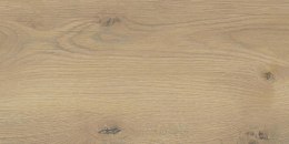 SG TAIGA / SIGURD BEIGE GRES MAT. SGR256-1 30X60 G.1