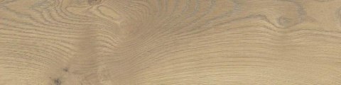 SG TAIGA / SIGURD BEIGE GRES SZKL. SGR280-1 15,5X62 G.1 SG TAIGA / SIGURD BEIGE GRES SZKL. SGR280-1 15,5X62 G.1