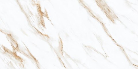 SG VENA BELLA GRES REKT. MAT. 60X120 G.2 SG VENA BELLA GRES REKT. MAT. 60X120 G.2