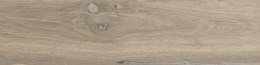 STARGRES Pp DUBLIN ALMOND / DUNEDIN 15,5X62 G.1 PROMO SG