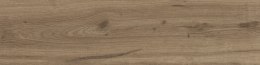 STARGRES Pp DUBLIN BROWN / DUNEDIN 15,5X62 G.1 SG PROMOCJA