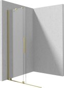 Deante Ścianka prysznicowa walk-in 80 cm - przesuwna