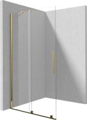 Deante Ścianka prysznicowa walk-in 80 cm - przesuwna