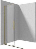 Deante Ścianka prysznicowa walk-in 80 cm - przesuwna