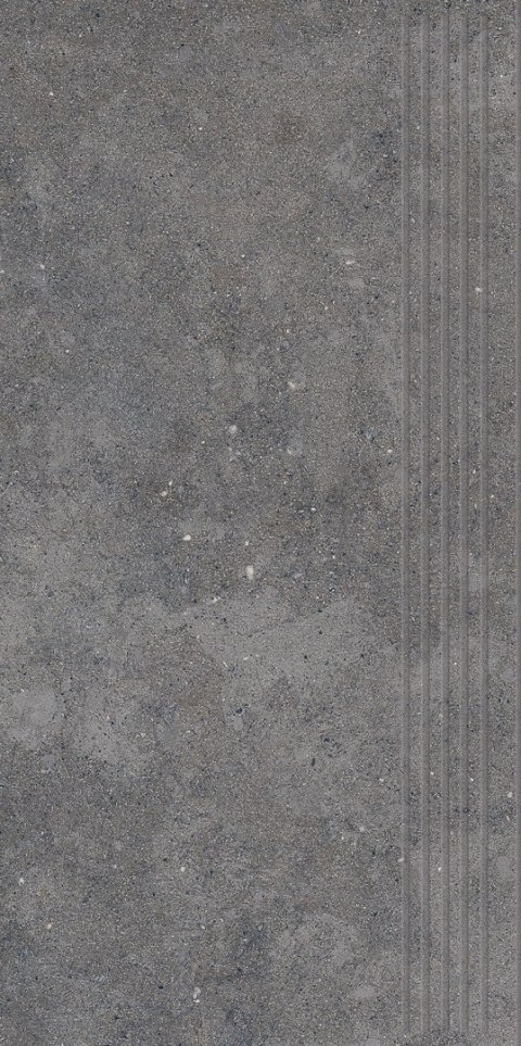 P CITYROCK BASALT STOPNICA PRASOWANA MAT 29,8X59,8 G.1 P CITYROCK BASALT STOPNICA PRASOWANA MAT 29,8X59,8 G.1