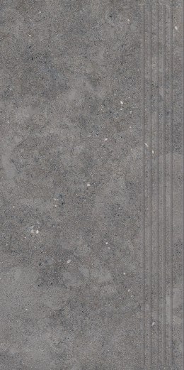 P CITYROCK BASALT STOPNICA PRASOWANA MAT 29,8X59,8 G.1