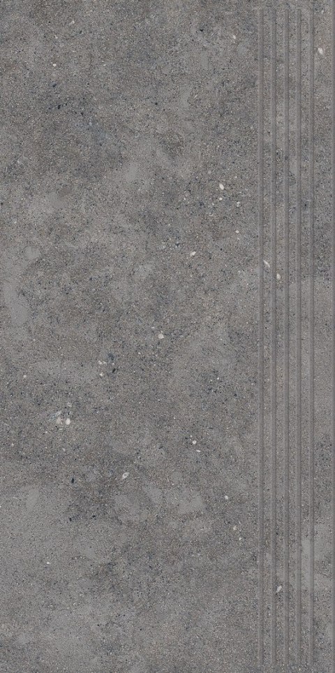 P CITYROCK BASALT STOPNICA PRASOWANA MAT 29,8X59,8 G.1 P CITYROCK BASALT STOPNICA PRASOWANA MAT 29,8X59,8 G.1