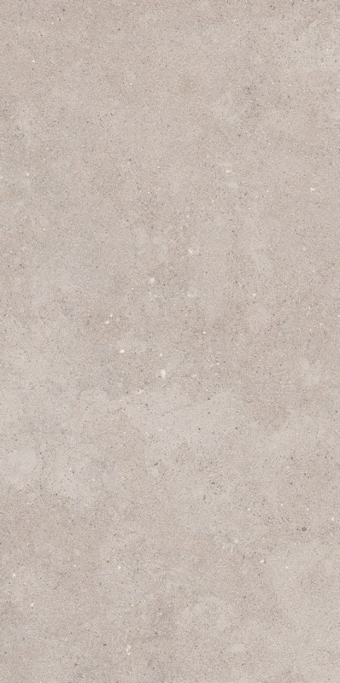 P CITYROCK GREY GRES SZKL. REKT. MAT. 29,8X59,8 G.1 P CITYROCK GREY GRES SZKL. REKT. MAT. 29,8X59,8 G.1