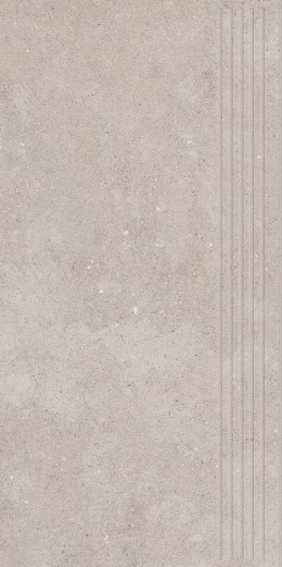 P CITYROCK GREY STOPNICA PRASOWANA MAT 29,8X59,8 G.1
