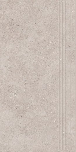 P CITYROCK GREY STOPNICA PRASOWANA MAT 29,8X59,8 G.1