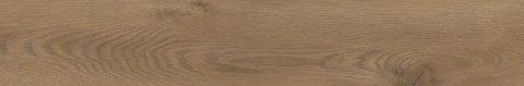 STARGRES Pp TAIGA / SGR250-1 BROWN 20X120 G.1 SG PROMOCJA